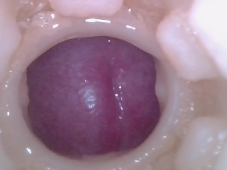 Vagina captures intense creampie, providing vivid internal view.