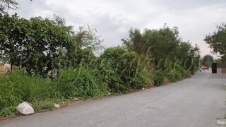 I hired an Angkas rider during my mother’s absence. (10 words)