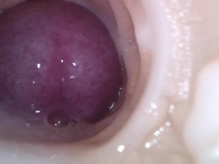 Internal camera filming: Pussy creampie conclusion.